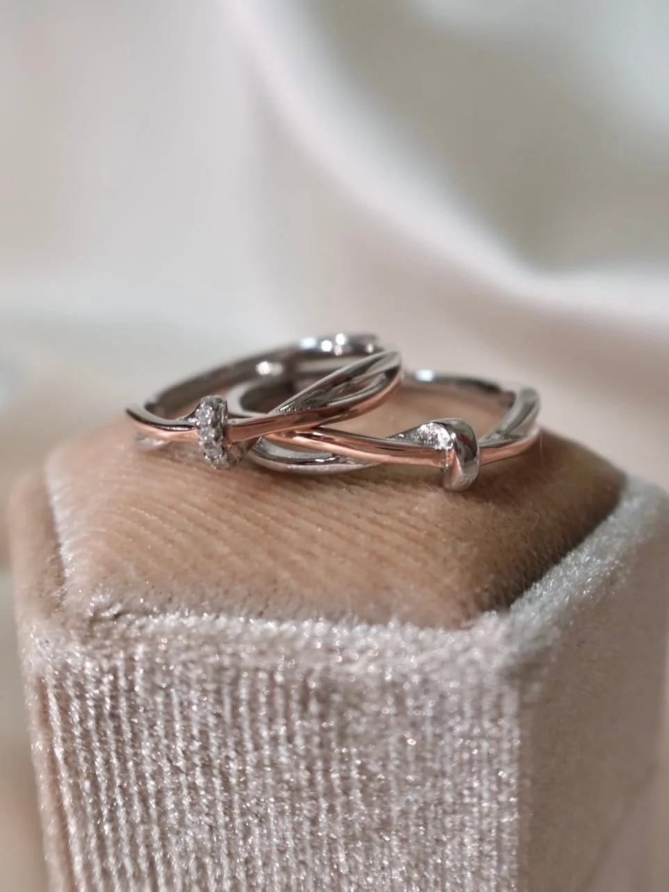 Radiant Rose 【pair】